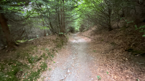 De steile afdaling bij Willingen, de Hoppernkopf en Hömberg