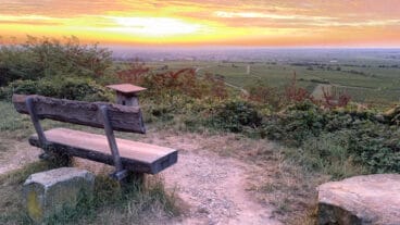 Een uitzicht op een zonsopgang boven het Rijndal vanaf de Pfälzer Weinsteig