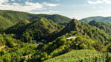 Een uitzicht op Burg Are in het Ahrdal met wijngaarden op de voorgrond