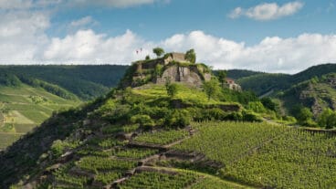 Wijngaarden rondom de ruïnes van de Saffenburg bij Mayschoß