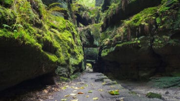 De Malerweg loopt onder de ingeklemde zandsteenblokken van het Uttewalder Felsentor in de smalle kloof van de Uttewalder Grund door