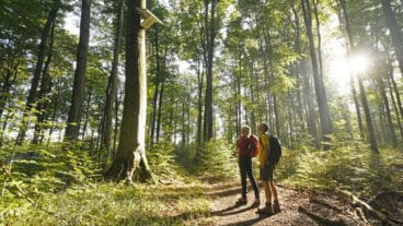 Twee wandelaars pauzeren om te luisteren bij het audiomuseum bij de stadsruïnes van Blankenrode