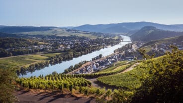 Een panoramisch uitzicht op Lieser an der Mosel in het Moezeldal met wijngaarden op de voorgrond en heuvels in de verte